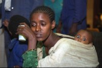 יעקב סער , הגלריה החברתית , מוסררה (הגדל)