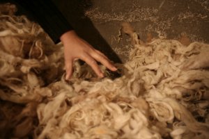 ארז וגנר וחנן אבו חוסיין (הגדל)