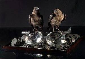 יובל שאול, השלל 2008, עורבים , פחם ויהלומים (הגדל)