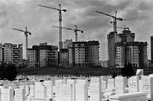 תומר אפלבאום (הגדל)