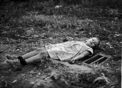 נוגה חיימוביץ (הגדל)