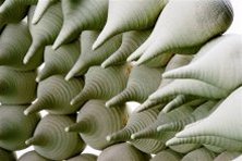 רחל רוטמן (הגדל)