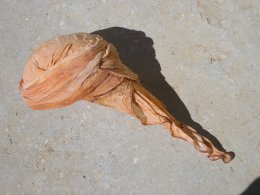 פנינה גפן - כיסוי המטפחת (הגדל)