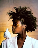 מבעד לעדשה האפלה