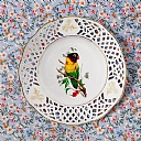 אלפרד, צילום של ליאת אלבלינג, HOLES