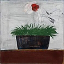 סאלח אלקרא , כלנית,2011