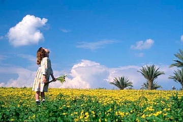 צילום - אלן צ'פלסקי (הגדל)