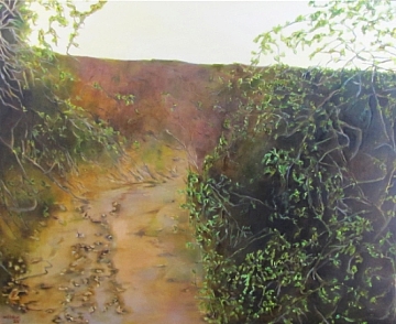 שגיא בניטה על "הדרך" תערוכתו של דוד בוסקוביץ' בגלריה ברנארד (הגדל)