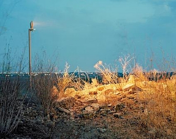 שרון יערי, תל יבנה, קיץ 2012 (הגדל)