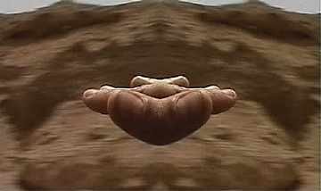 מיכל רוטשילד , לים המלח וחזרה , מיצב וידאו (באדם , (הגדל)