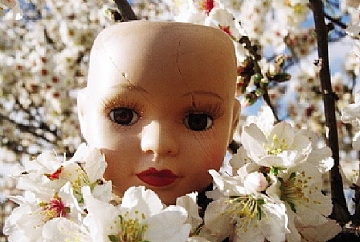 סיגל אדלמן , מתוך סודות צללים (הגדל)