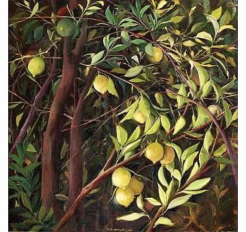 מיה זר (הגדל)