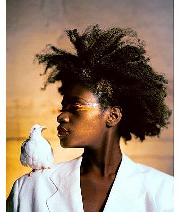 מבעד לעדשה האפלה (הגדל)