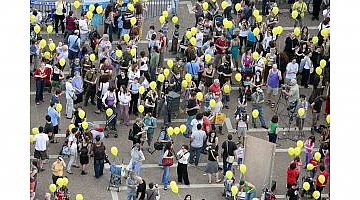 שחף הבר (הגדל)