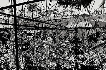 If I would know it before, 2008 (הגדל)