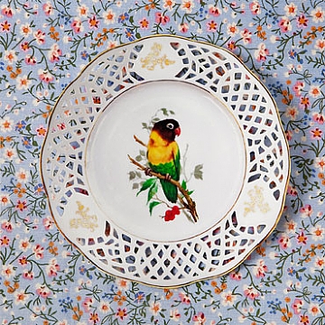 אלפרד, צילום של ליאת אלבלינג, HOLES