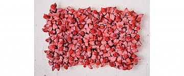 מיכל הדר (הגדל)