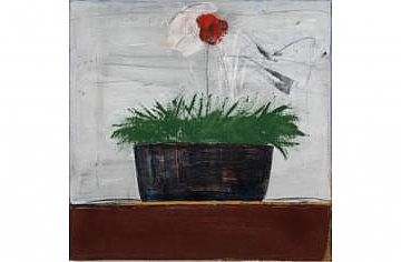 סאלח אלקרא , כלנית,2011 (הגדל)