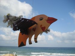 תערוכת יחידים