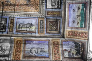 צילום תיאודור ראיליאנו