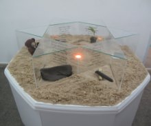 בתאל מזרחי-צלקת-מיצב