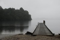 ענבל טור שלום