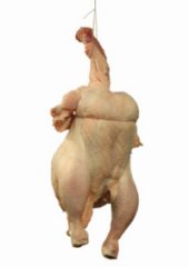 חנאן אבו-חוסיין