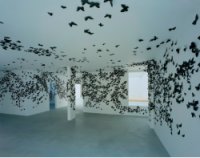 "Black Cloud" קרלוס אמרולס (2007)