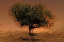 יואב חנן, אתרי היעלמות