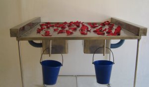 Nava Harel Shoshani.For love is strong as death