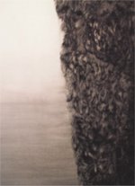 פרט מתוך הערמה בציור האיילים