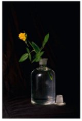 שלמה אברהמוב