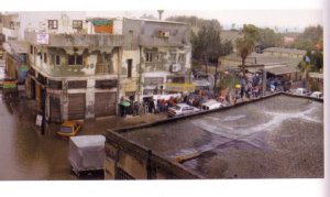 ברי פרידלנדר