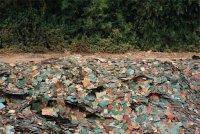 אדואר בורטינסקי