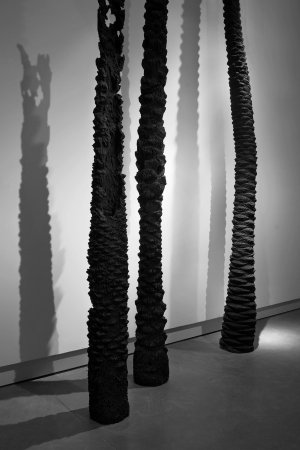 נשרף כליל ,מיצב של סשה סרבר