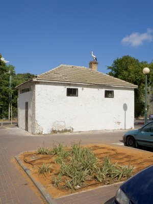 בעז קדמן שדרות ח"ן