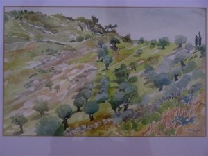 חנה נוסבוים, עצי זית