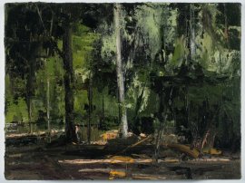 אלדר פרבר , שמן על בד