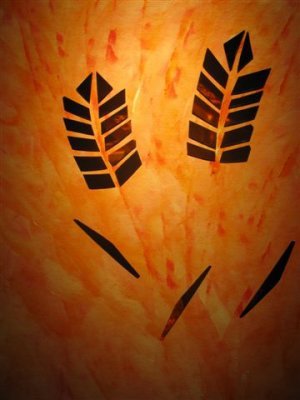 שמעון המאירי