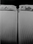 קרין מנדלוביץ