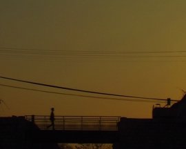 יאן טיכי , גשר