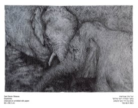 יעל גורן שקראוס - מתוך "אור פילים"